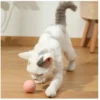 Pelota recargable para mascota