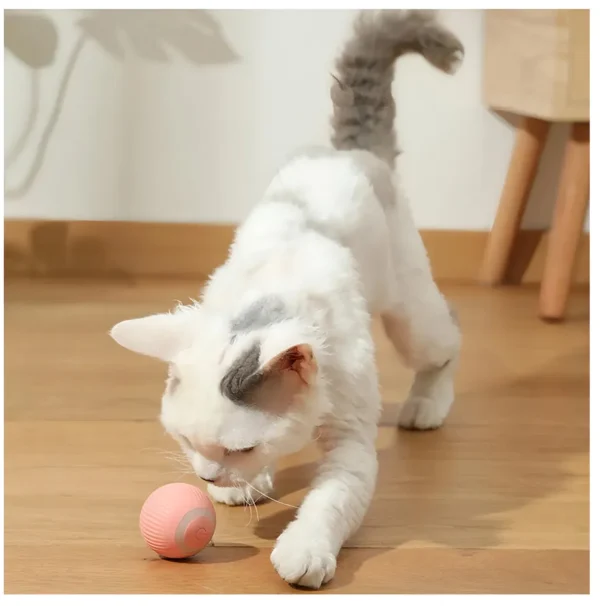 Pelota recargable para mascota